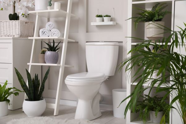 Cost of Toilet Repair in Powhatan