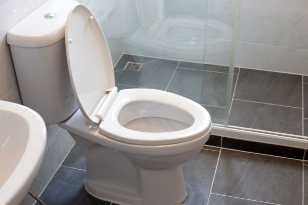 Cost of Toilet Replacement in Powhatan