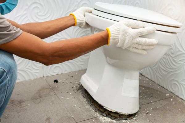 Cost of Toilet Removal in Powhatan